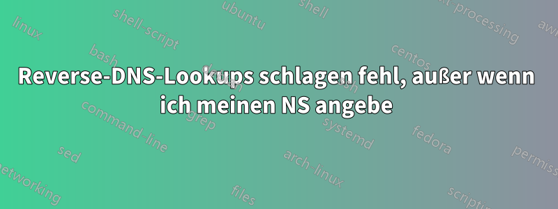 Reverse-DNS-Lookups schlagen fehl, außer wenn ich meinen NS angebe