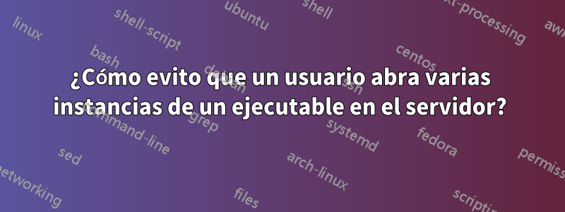 ¿Cómo evito que un usuario abra varias instancias de un ejecutable en el servidor?