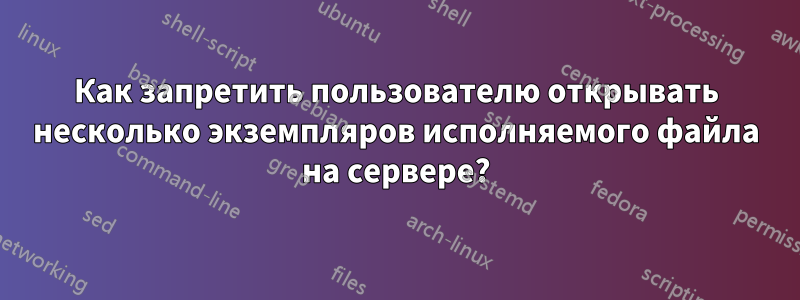 Как запретить пользователю открывать несколько экземпляров исполняемого файла на сервере?