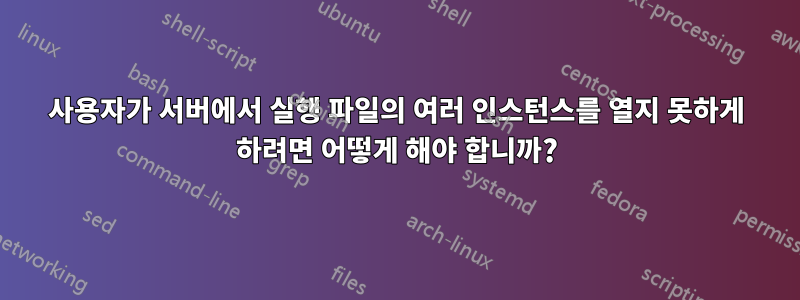 사용자가 서버에서 실행 파일의 여러 인스턴스를 열지 못하게 하려면 어떻게 해야 합니까?