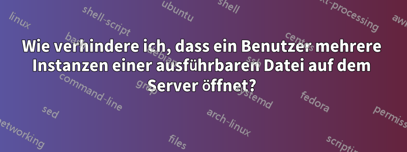 Wie verhindere ich, dass ein Benutzer mehrere Instanzen einer ausführbaren Datei auf dem Server öffnet?