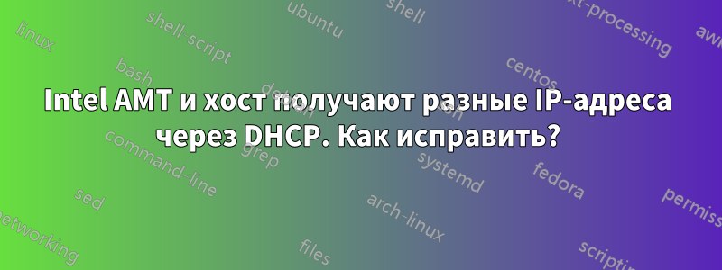 Intel AMT и хост получают разные IP-адреса через DHCP. Как исправить?