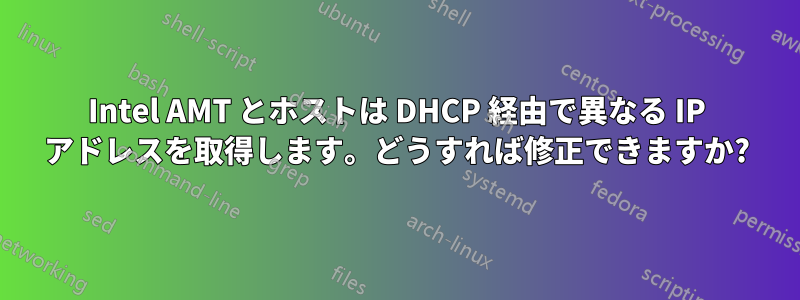 Intel AMT とホストは DHCP 経由で異なる IP アドレスを取得します。どうすれば修正できますか?