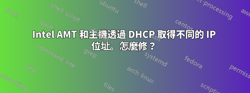 Intel AMT 和主機透過 DHCP 取得不同的 IP 位址。怎麼修?