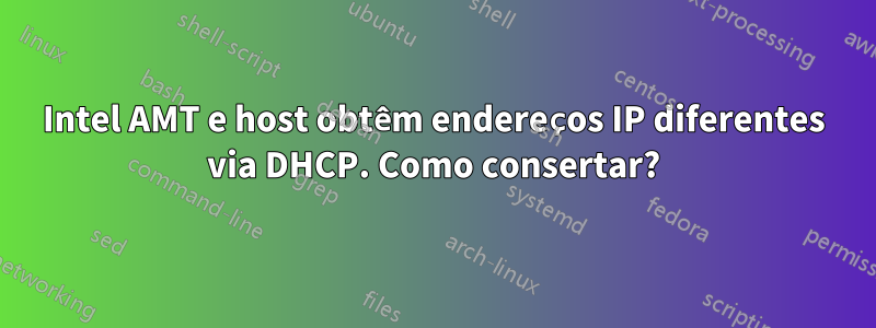 Intel AMT e host obtêm endereços IP diferentes via DHCP. Como consertar?