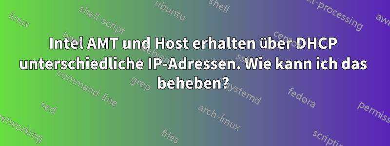Intel AMT und Host erhalten über DHCP unterschiedliche IP-Adressen. Wie kann ich das beheben?