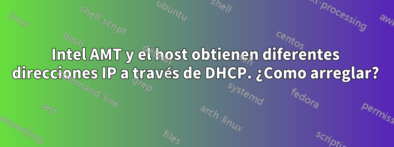 Intel AMT y el host obtienen diferentes direcciones IP a través de DHCP. ¿Como arreglar?