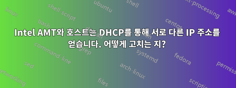 Intel AMT와 호스트는 DHCP를 통해 서로 다른 IP 주소를 얻습니다. 어떻게 고치는 지?