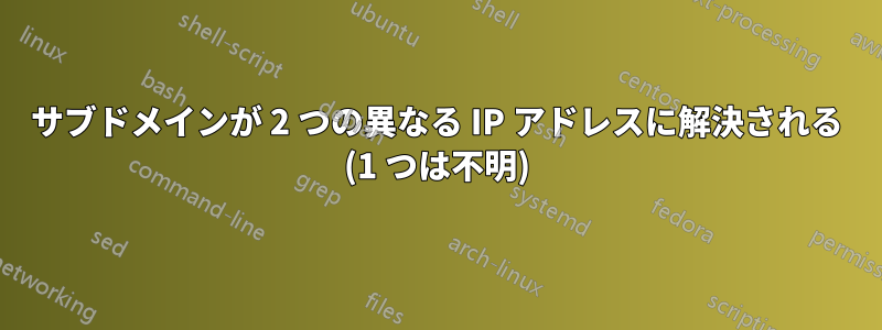 サブドメインが 2 つの異なる IP アドレスに解決される (1 つは不明)