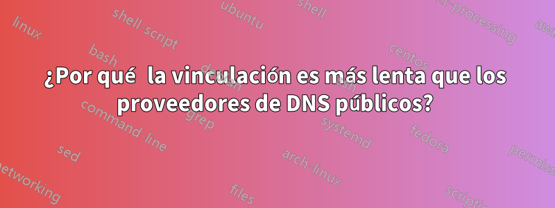 ¿Por qué la vinculación es más lenta que los proveedores de DNS públicos?