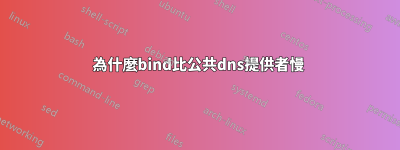 為什麼bind比公共dns提供者慢