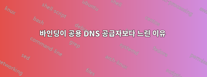 바인딩이 공용 DNS 공급자보다 느린 이유