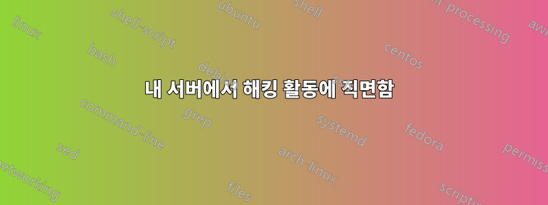 내 서버에서 해킹 활동에 직면함 