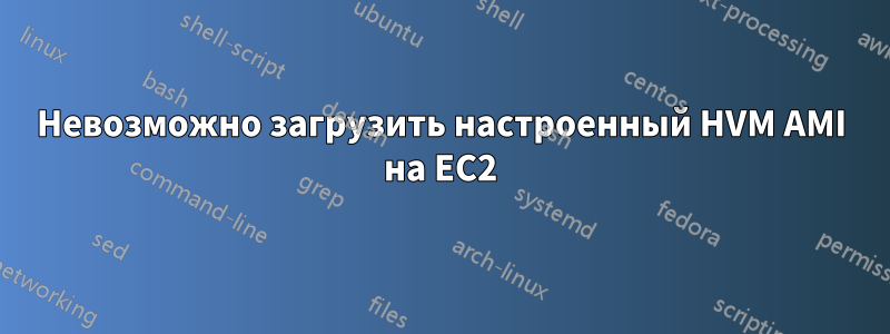 Невозможно загрузить настроенный HVM AMI на EC2