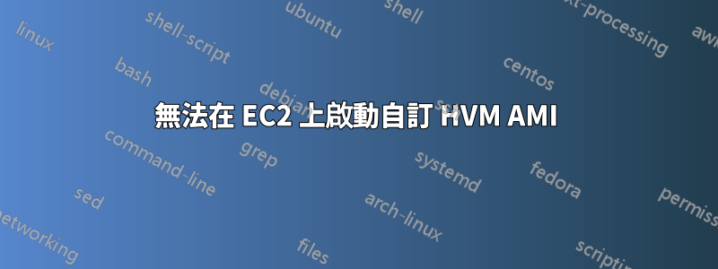 無法在 EC2 上啟動自訂 HVM AMI