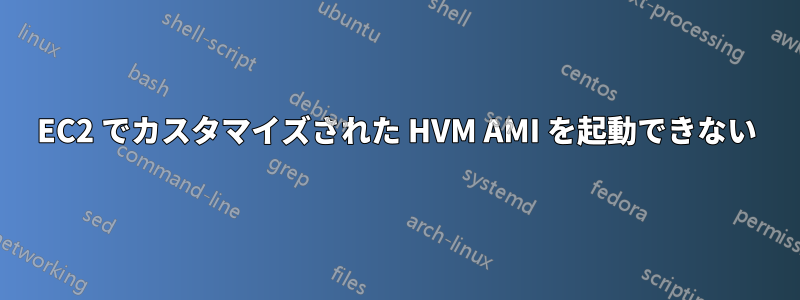 EC2 でカスタマイズされた HVM AMI を起動できない