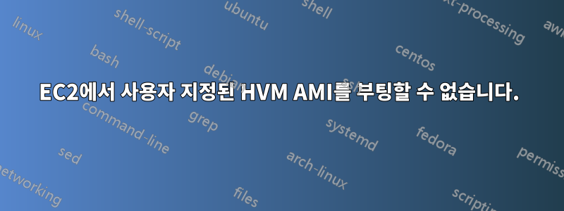 EC2에서 사용자 지정된 HVM AMI를 부팅할 수 없습니다.