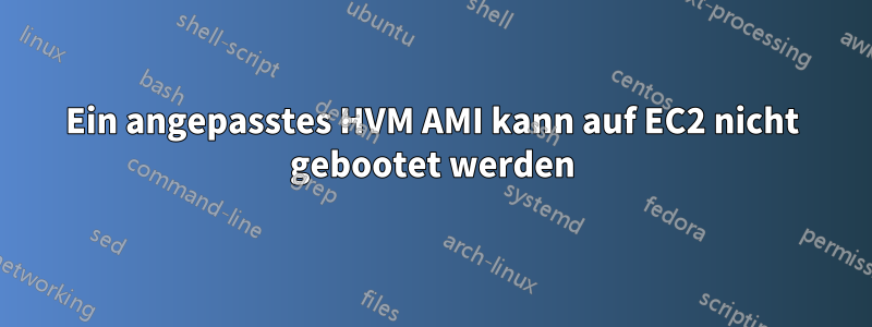 Ein angepasstes HVM AMI kann auf EC2 nicht gebootet werden