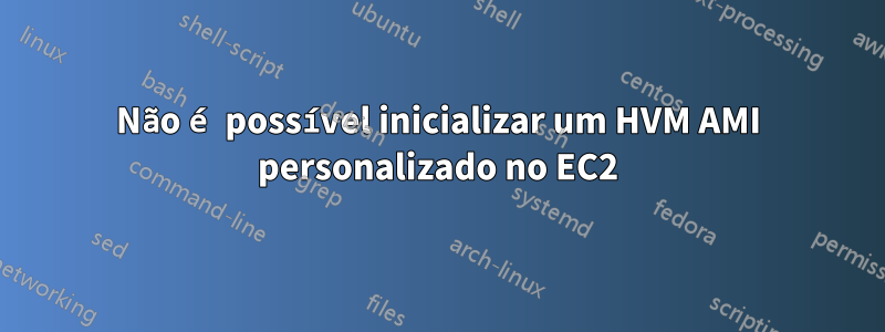 Não é possível inicializar um HVM AMI personalizado no EC2