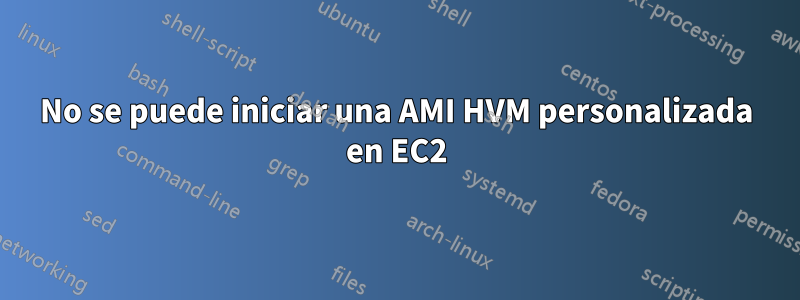 No se puede iniciar una AMI HVM personalizada en EC2