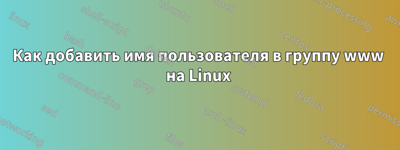 Как добавить имя пользователя в группу www на Linux