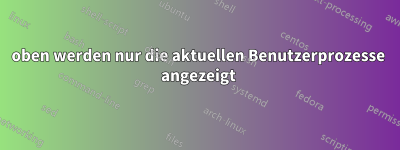 oben werden nur die aktuellen Benutzerprozesse angezeigt
