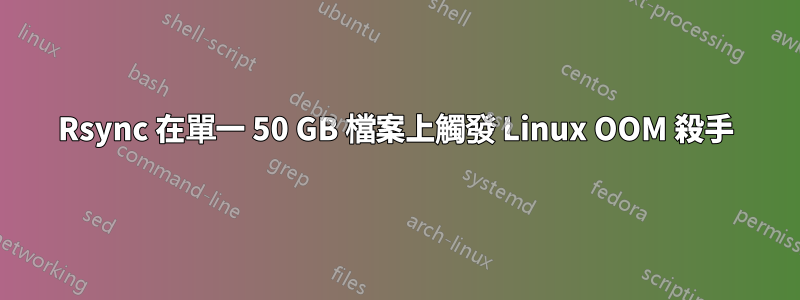 Rsync 在單一 50 GB 檔案上觸發 Linux OOM 殺手