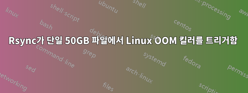 Rsync가 단일 50GB 파일에서 Linux OOM 킬러를 트리거함