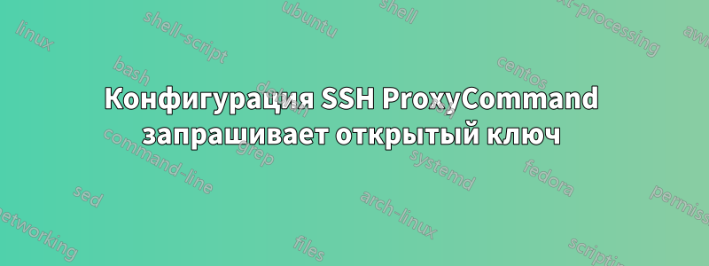 Конфигурация SSH ProxyCommand запрашивает открытый ключ