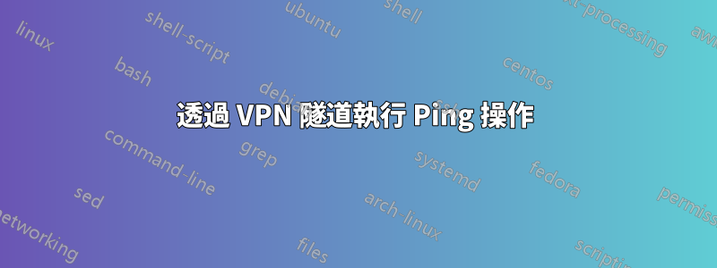透過 VPN 隧道執行 Ping 操作