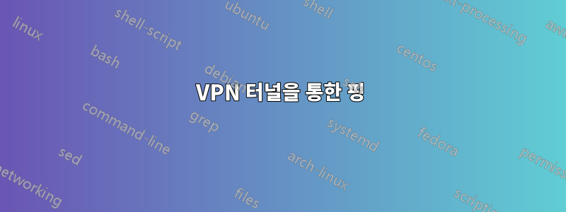 VPN 터널을 통한 핑