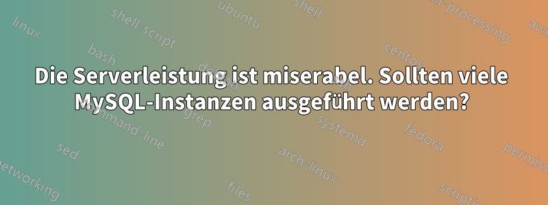 Die Serverleistung ist miserabel. Sollten viele MySQL-Instanzen ausgeführt werden?
