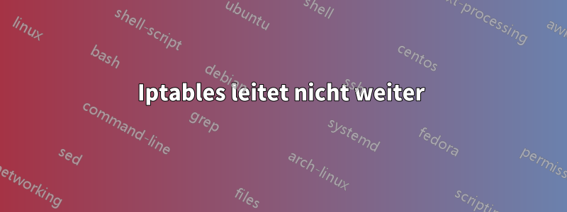 Iptables leitet nicht weiter