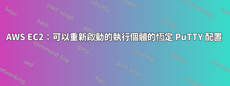 AWS EC2：可以重新啟動的執行個體的恆定 PuTTY 配置