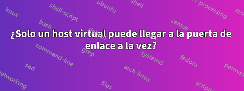 ¿Solo un host virtual puede llegar a la puerta de enlace a la vez?