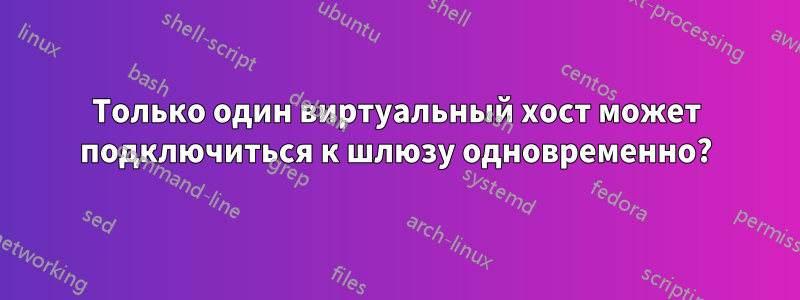 Только один виртуальный хост может подключиться к шлюзу одновременно?