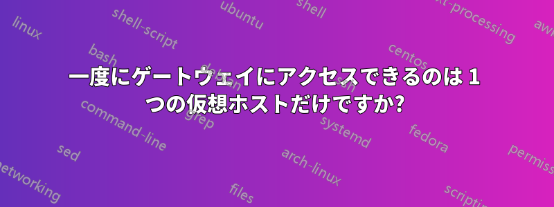 一度にゲートウェイにアクセスできるのは 1 つの仮想ホストだけですか?