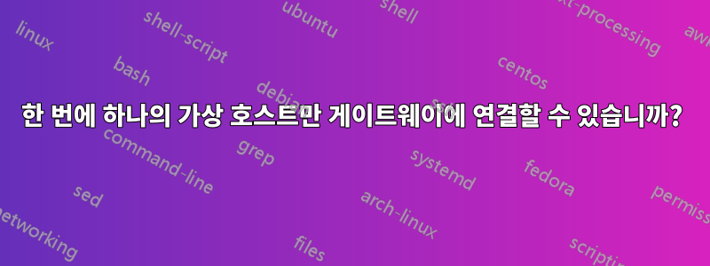 한 번에 하나의 가상 호스트만 게이트웨이에 연결할 수 있습니까?