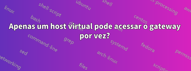 Apenas um host virtual pode acessar o gateway por vez?