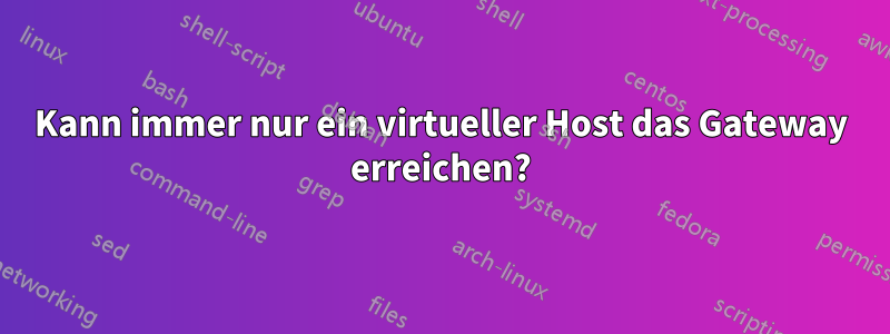 Kann immer nur ein virtueller Host das Gateway erreichen?
