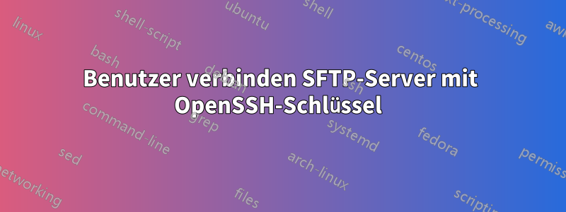 Benutzer verbinden SFTP-Server mit OpenSSH-Schlüssel 