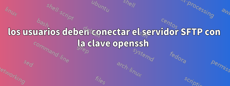 los usuarios deben conectar el servidor SFTP con la clave openssh 