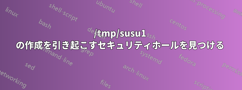 /tmp/susu1 の作成を引き起こすセキュリティホールを見つける