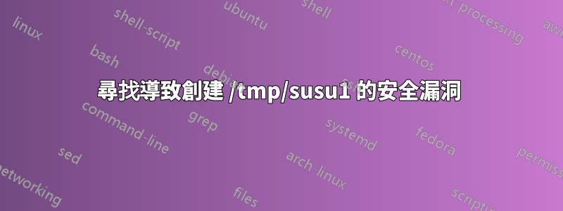 尋找導致創建 /tmp/susu1 的安全漏洞