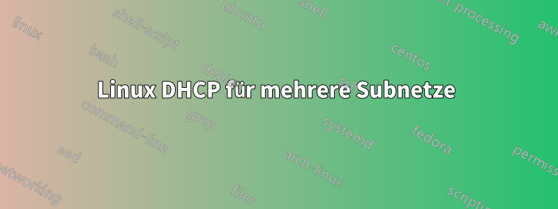 Linux DHCP für mehrere Subnetze