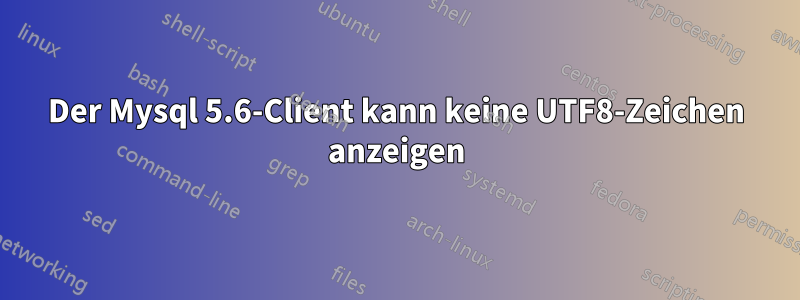 Der Mysql 5.6-Client kann keine UTF8-Zeichen anzeigen