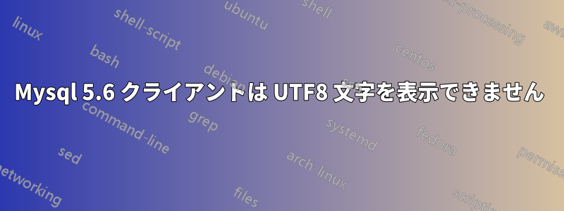 Mysql 5.6 クライアントは UTF8 文字を表示できません