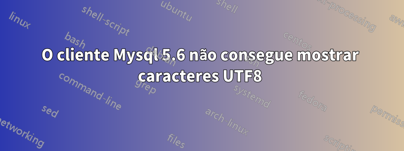 O cliente Mysql 5.6 não consegue mostrar caracteres UTF8