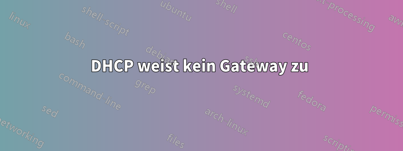 DHCP weist kein Gateway zu