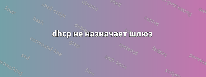 dhcp не назначает шлюз